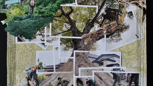 福島あつし写真展『木を植える旅』